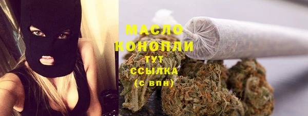 твердый Инта