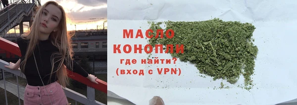 твердый Инта