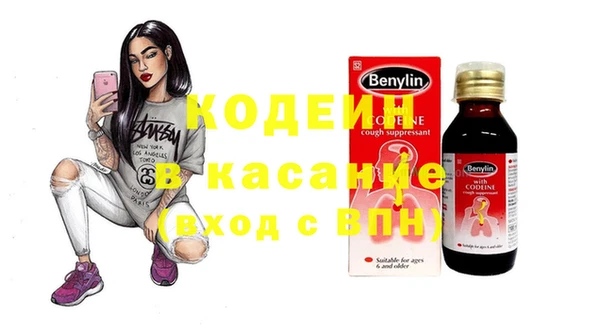 твердый Инта