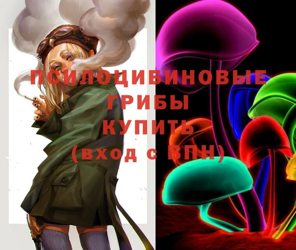 ПСИЛОЦИБИНОВЫЕ ГРИБЫ Каменногорск