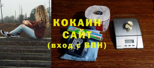 ПСИЛОЦИБИНОВЫЕ ГРИБЫ Каменногорск