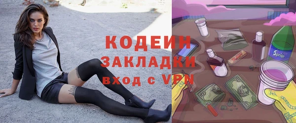 твердый Инта