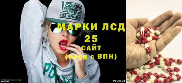 PSILOCYBIN Инсар
