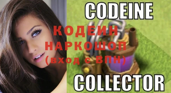 твердый Инта