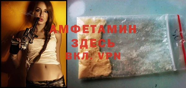 твердый Инта