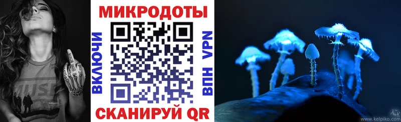 Галлюциногенные грибы мицелий  OMG рабочий сайт  Каменногорск 