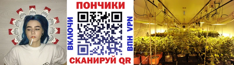 Бошки марихуана тримм Каменногорск