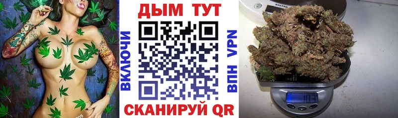 хочу Каменногорск Бошки марихуана план